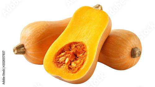 Fresh Butternut Squash Halved and Isolated on White Background for Food Photography
