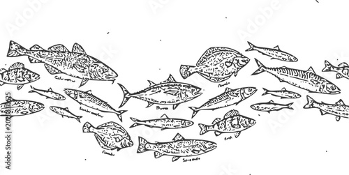 Bild auf Leinwand Fish school, swimming fish, vector illustration, black and white, aquatic animal