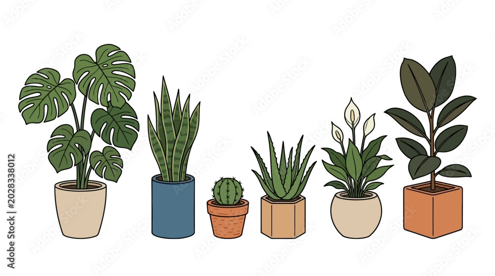 Fototapeta premium Collection of potted houseplants and succulents.