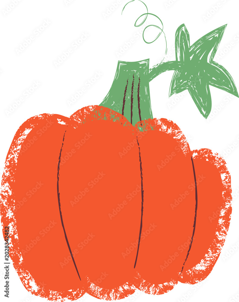 Fototapeta premium Pumpkin With Leaf Crayon Sketch
