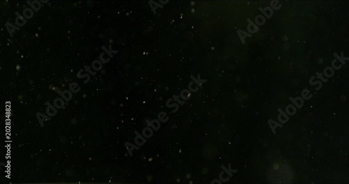 Super slow motion falling snow or dust particles isolated on a black background. Abstract atmospheric SFX overlay with floating debris, cinematic texture and dark visual effect.
