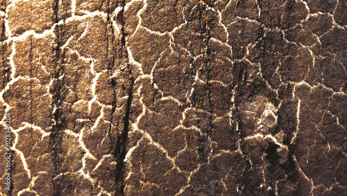 Rustic textured backdrop