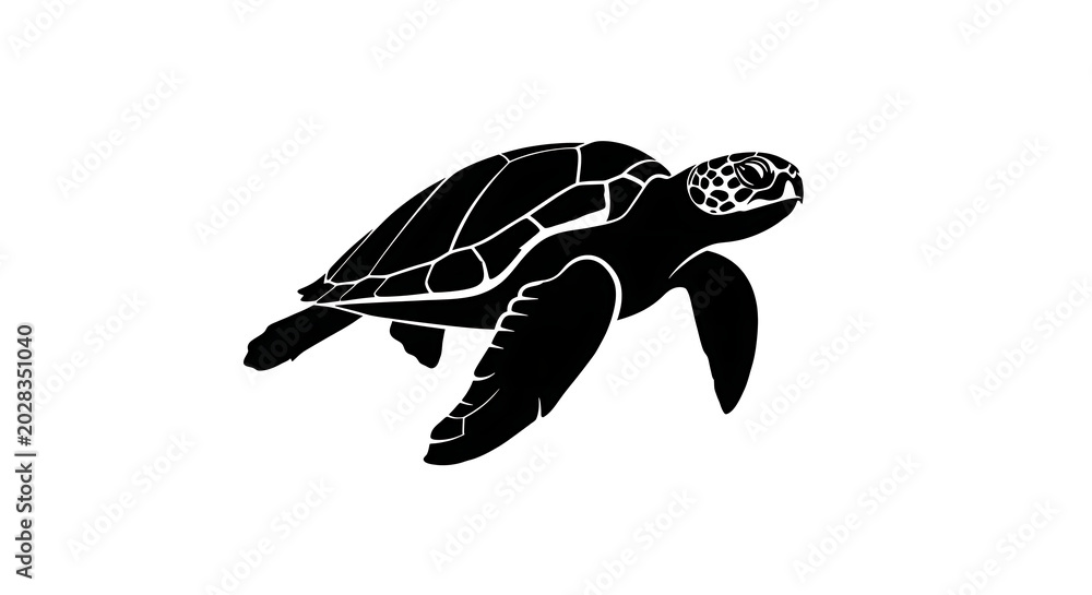 Fototapeta premium Baby sea turtle swimming in water
