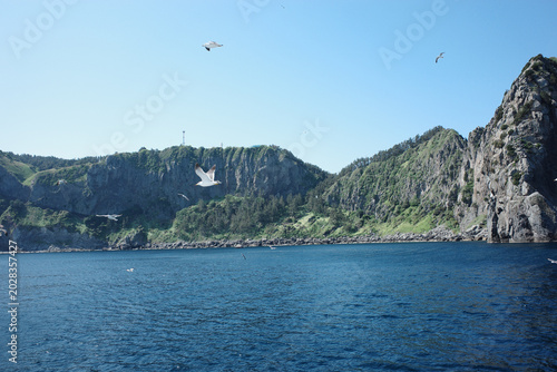 Coastal landscape and sea