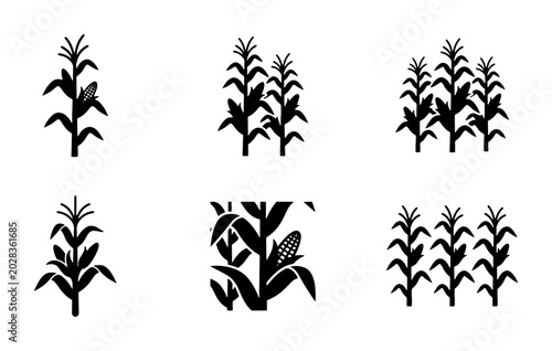Tableau sur toile Corn Stalk Icons, Maize Plant Silhouettes, Agricultural Crop Vector Graphics, Or
