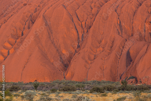 Close-up view of Uluru rock at sunset time.