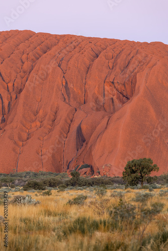 Obraz na plátně Close-up view of Uluru rock at sunset time.