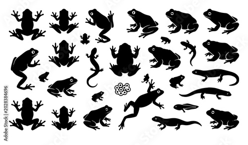 Foto Trendy amphibian vector bundle with frog silhouette and wildlife top view icon s
