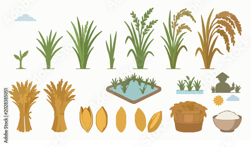 Foto Modern rice grain field illustration set with paddy harvest and agricultural cro