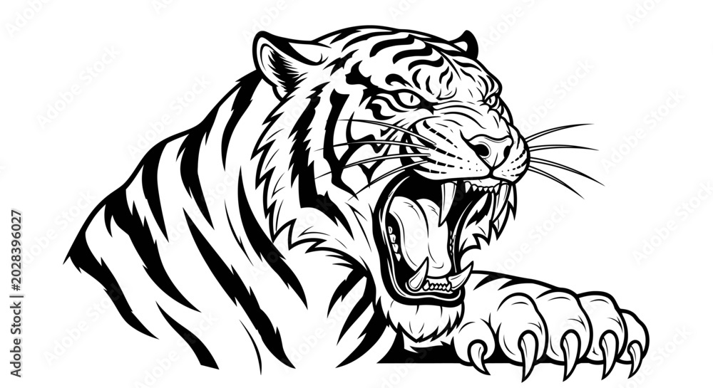 Fototapeta premium Roaring tiger illustration in black and white isolated on white background