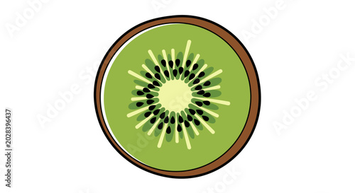 Sliced kiwi fruit graphic illustration on white background