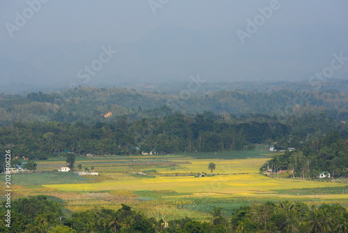 rural landscape in the morning