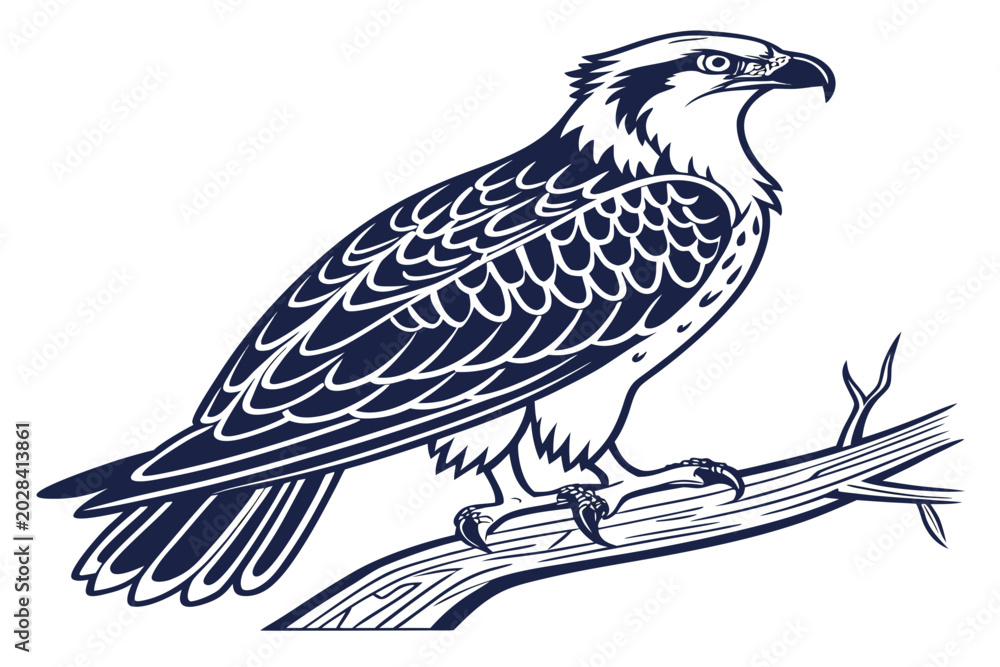 Fototapeta premium Birds Vector Design
