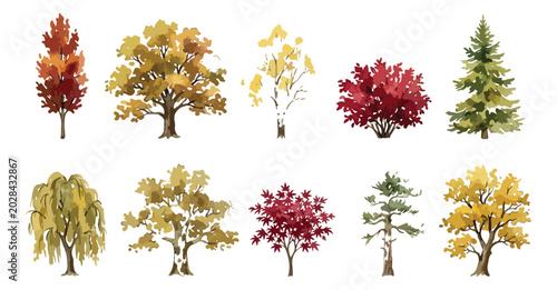 Fotografie Watercolor autumn trees collection, set of 10 fall foliage vector elements, seas