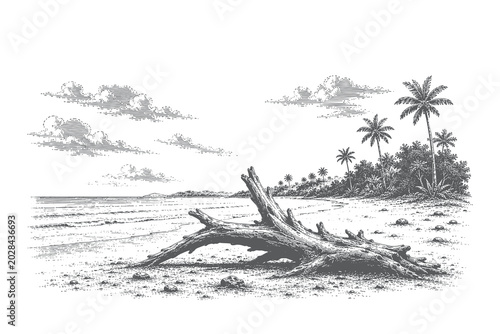 Hand-drawn etching style vector illustration depicting a large piece of driftwood lying on a tropical sandy beach with palm trees and calm sea waves.