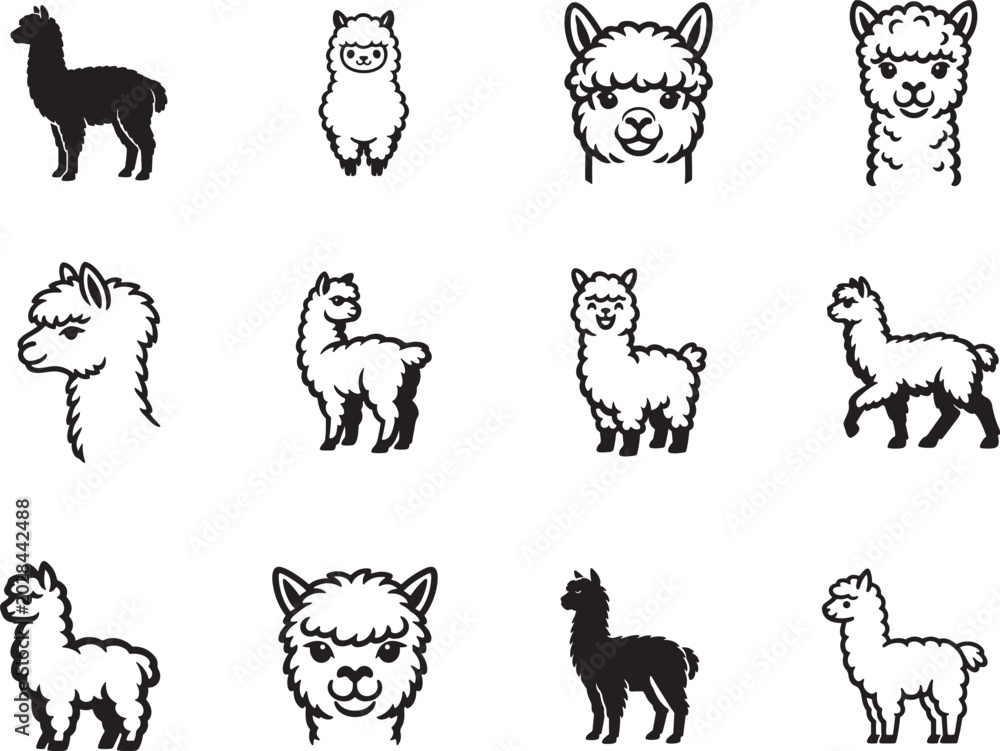Fototapeta premium Fluffy alpaca wool line art icon set with animal linear symbols isolated on white background.