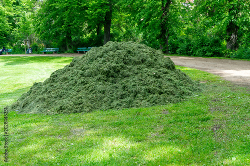 A pile of freshly mowed grass in a park.