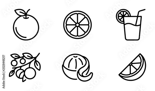 Quadro su tela Orange Fruit Icons, Citrus Slice, Juice Drink, Branch, Peel Vector Set