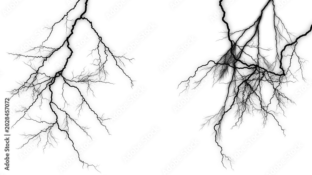 Fototapeta premium Black of two oak leaves with detailed veins leaf symmetrical