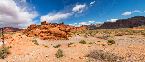 A panorama of the stunning red rock formations of the Valley of Fire State Park, Nevada, USA. Desert vegetation in the foreground with a summer sky background.
