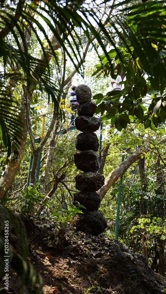 Fototapeta premium Zen rock balancing and stone stacking in a lush green forest setting.