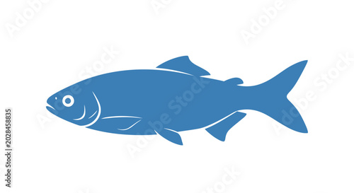 Fotografi Blue Fish Side View Illustration.
