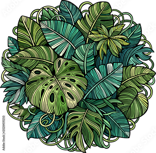Tropical exotic leaves illustration