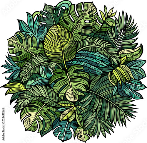 Tropical exotic leaves illustration
