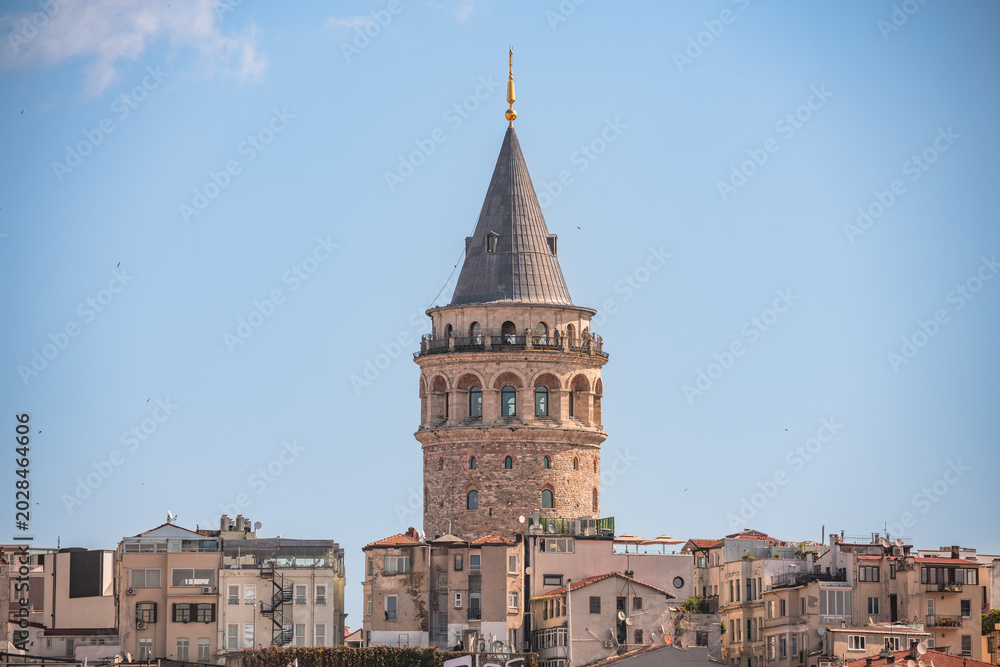 Naklejka premium Daylight view with Galata Tower and the Bosphorus in Istanbul Turkey