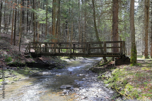 Photos Bridge crossing a flowing creek in the sunlight of a peaceful wooded scene