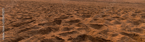 Φωτογραφία High angle view of textured golden sand background,A high angle panoramic shot of fine golden sand texture with footprints and uneven surfaces, perfect for a natural background or abstract summer