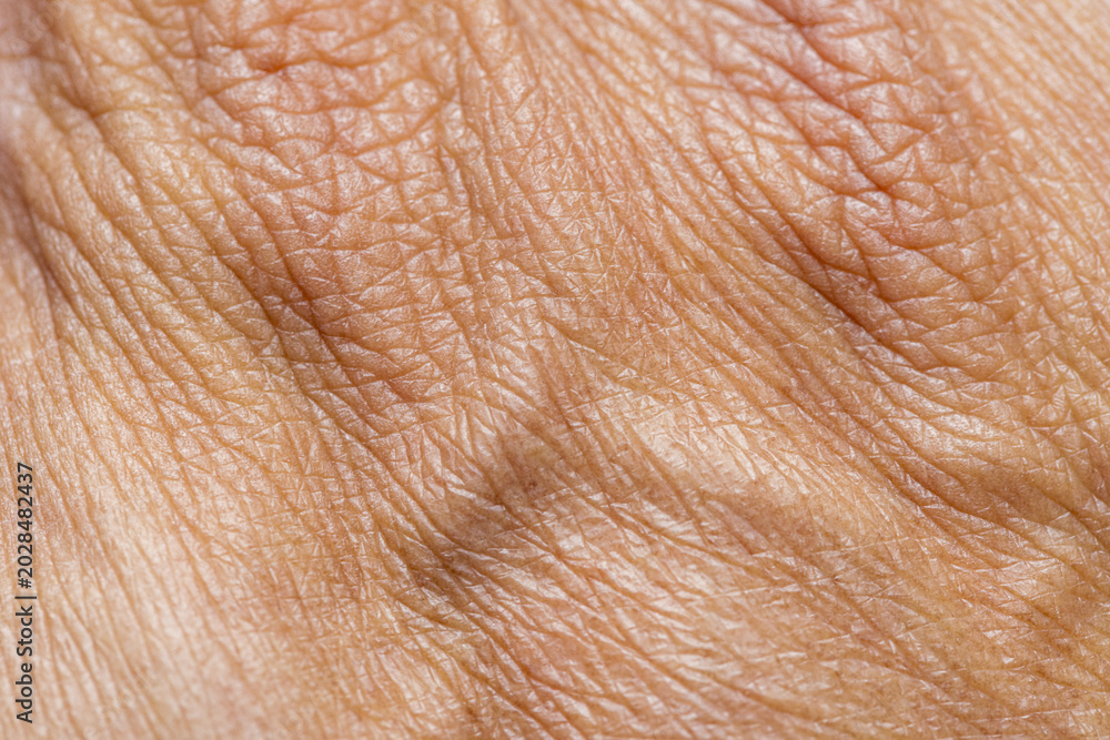 Fototapeta premium Extreme Macro Shot of Human Skin Texture with Fine Lines and Pores,An extreme close-up macro photograph showing the detailed texture of human skin, highlighting the intricate natural patterns, fine.