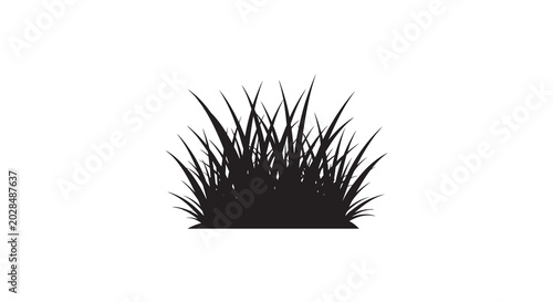 Foto grass silhouette against white background