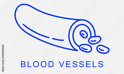 Bilde på lerret Blood Vessel Outline Icon – Minimal Human Circulatory System Medical Line Vector