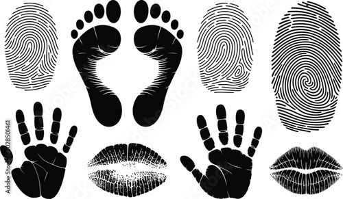 Cuadro en lienzo Collection of black fingerprints footprints handprints lips with body part finge