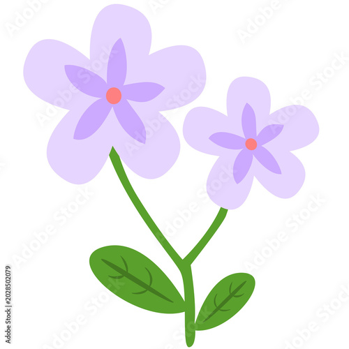 purple flowers with leaves