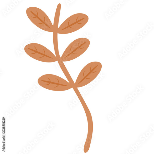 leaf of a tree