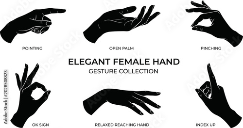 Fotografie Elegant female hand silhouettes showing various common gestures in a clean profe