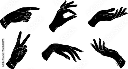 Konstfotografi Detailed set of elegant hand gestures showcasing various communicative poses ren