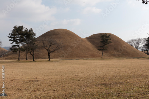 South Korea's Daereungwon Tomb Complex, Gyeongju on a cloudy winter day.