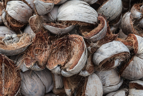 Fotografie Dried coconut shells on the ground.