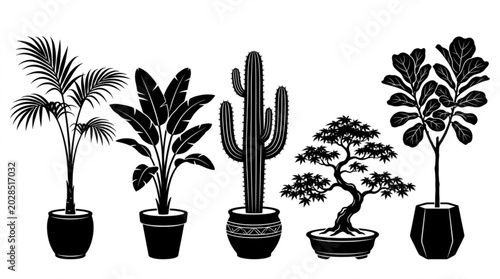 Black silhouette potted plant collection with palm banana cactus and bonsai vector isolated on white background