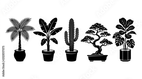 Black silhouette potted plant collection with palm banana cactus and bonsai vector isolated on white background