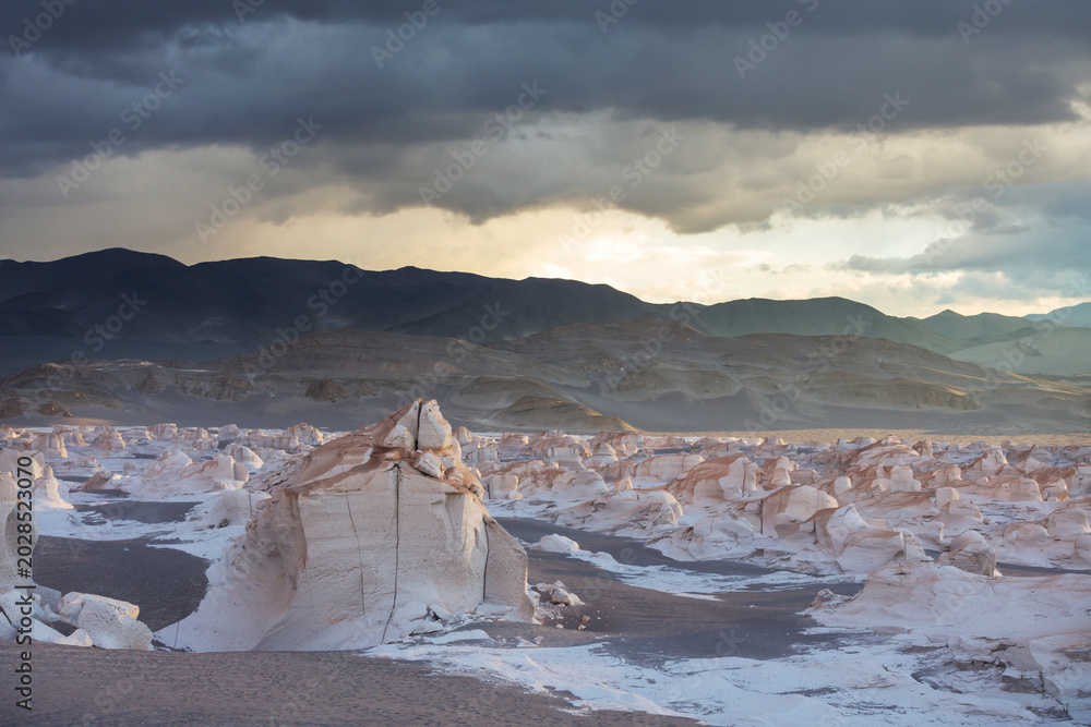 Fototapeta premium Campo de Piedra Pomez