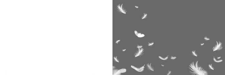 White feather on transparent background. Set feather isolated. Feather fly fall in air. Angel wing  feather png. Isolated flying soft and pure feathers, wings of bird animals