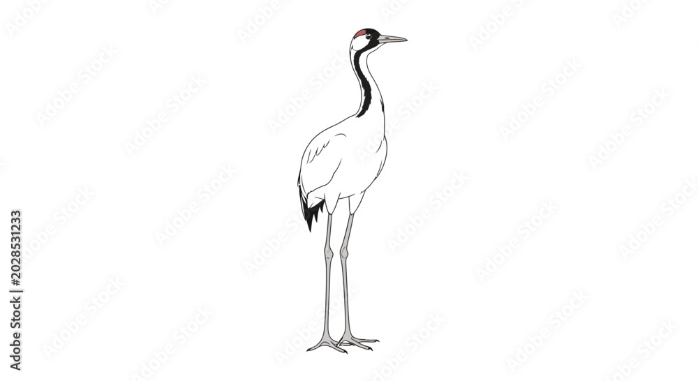 Fototapeta premium White Bird Standing Alone Profile.