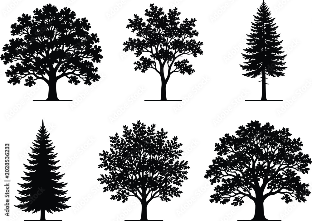 Obraz premium Tree Silhouette Set Featuring Deciduous and Pine Trees for Nature Landscape and Botanical Design Projects