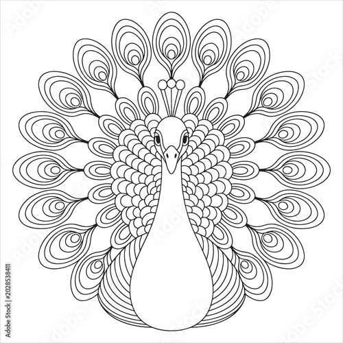Peacock, bird, illustration, line art, coloring book, vector, black and white, peacock illustration, bird design
