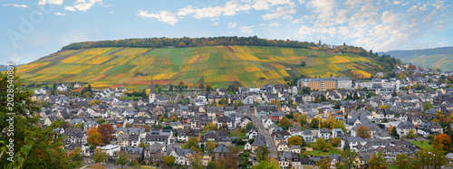 Fotografía tourist resort Kues, autumnal colorful vineyards at the hill above, german lands