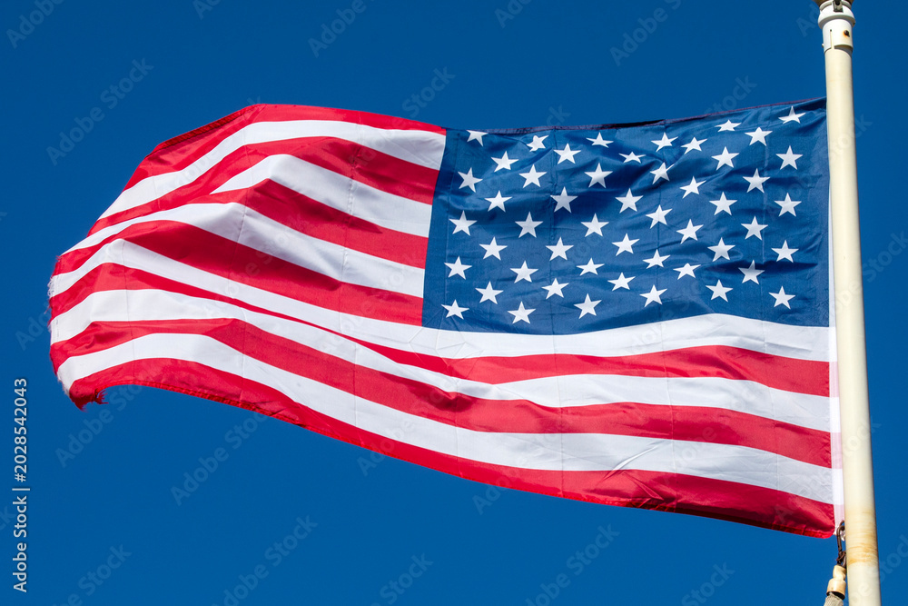 Fototapeta premium United States of America Flag